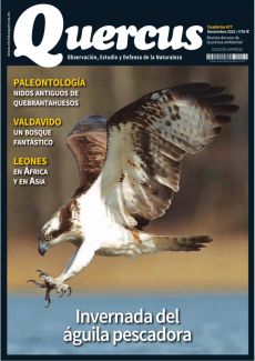 8. FORESTAL CON F DE FUEGO. F. 10. UN REPTIL PRIMITIVO Y UN DIENTES DE SABLE ANCESTRAL EN MALLORCA.